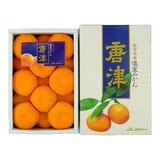 日本溫室佐賀縣蜜柑禮盒 1.2公斤