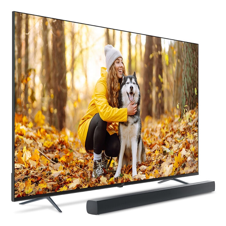 飛利浦 75吋 4K Google TV 顯示器聲霸組合 75PUH7890/96