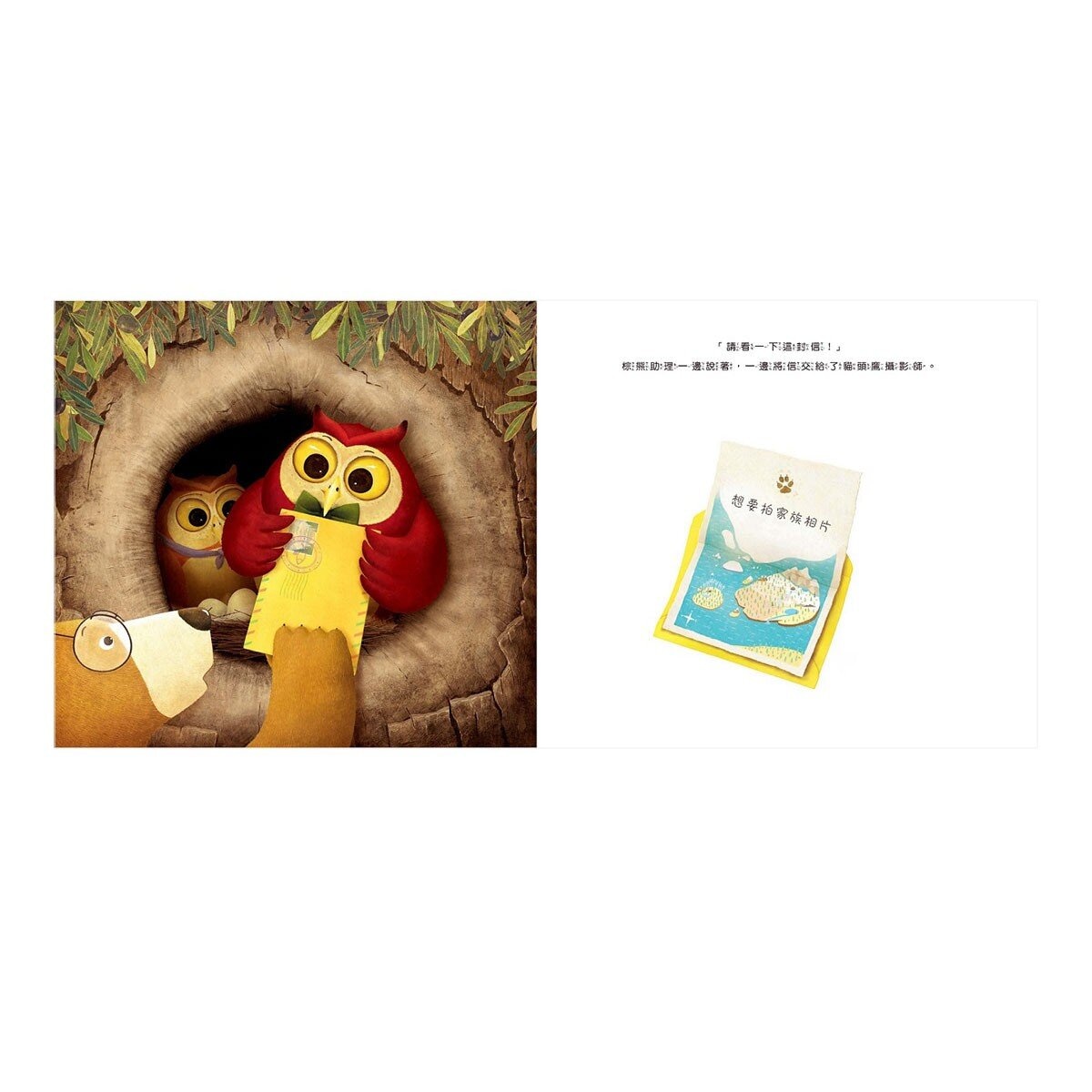 森林照相館系列兩書組