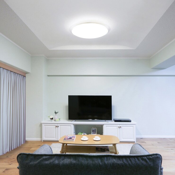 IRIS OHYAMA LED 多功能吸頂燈 CL12DL-MFUCT