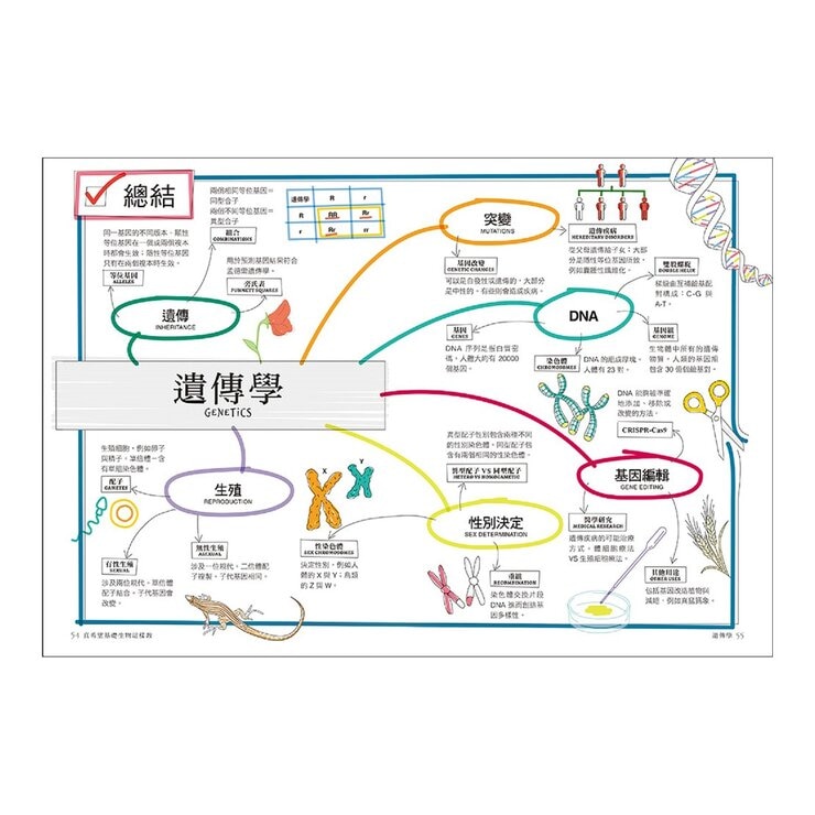 真希望基礎生物這樣教 + 真希望基礎人體這樣教 暢銷修訂版 (共二冊)
