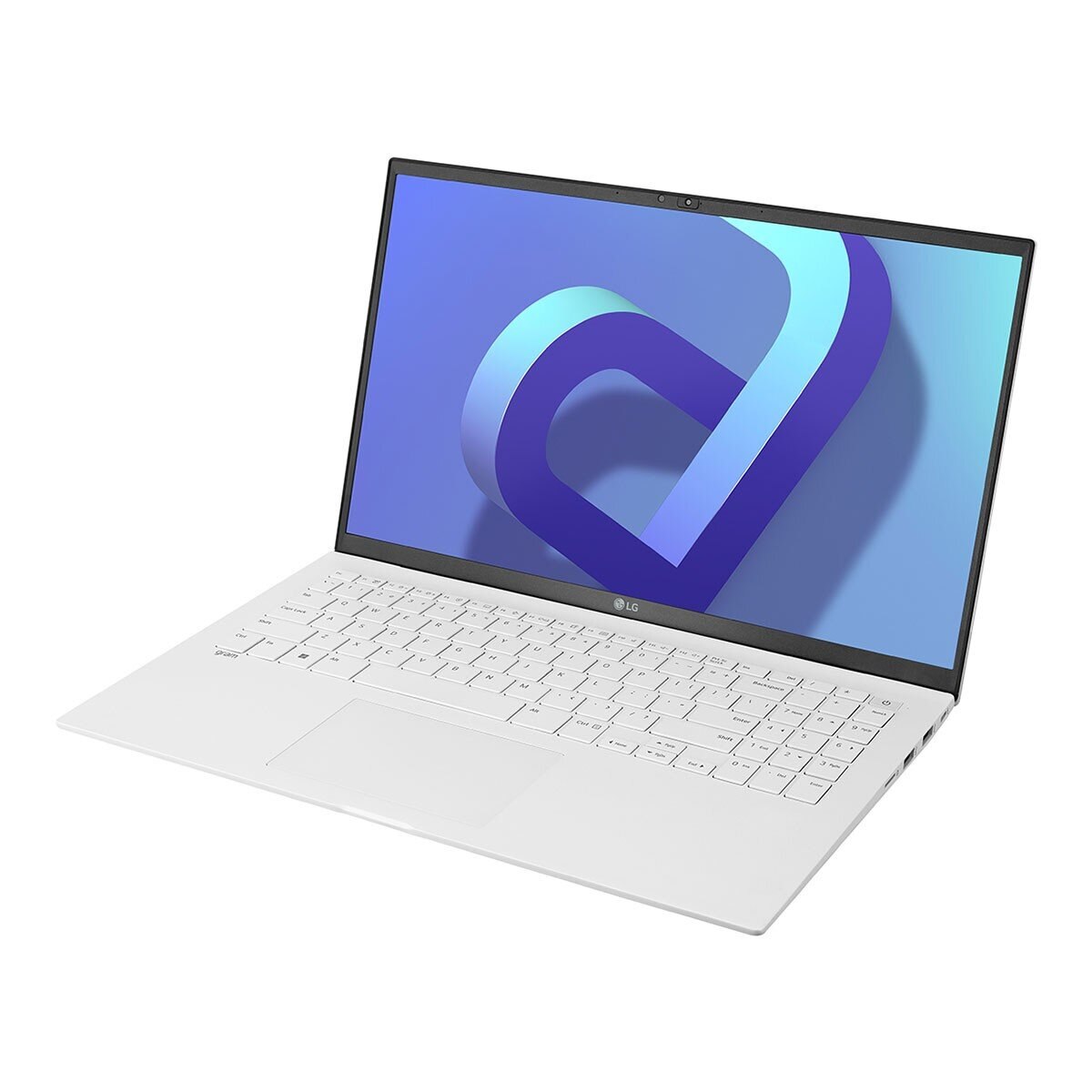 LG gram 15.6 吋輕薄筆記型電腦 15Z90Q-G.AR54C2