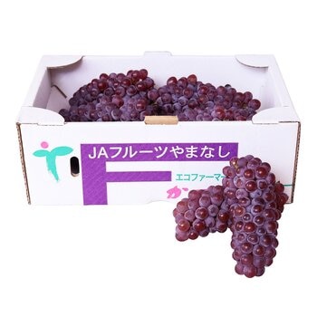 空運日本山梨縣小無籽葡萄禮盒 2公斤