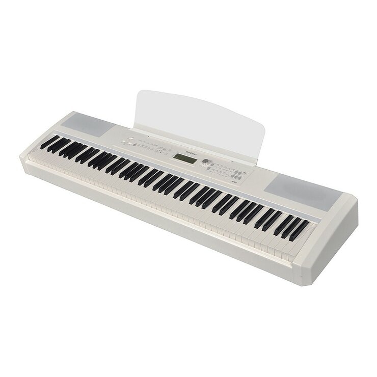 Ringway RP60 數位鋼琴