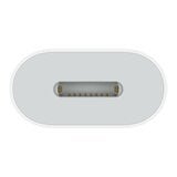 Apple USB-C 對 Lightning 轉接器