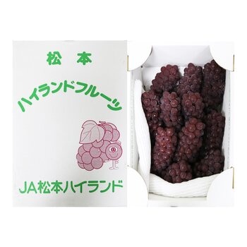 空運日本長野縣小無籽葡萄禮盒 2公斤