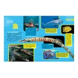 國家地理終極海洋百科：史上最完整的海洋大全 新版