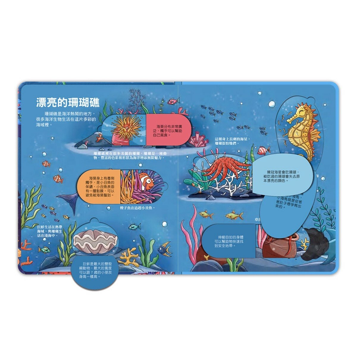 百問百答圖解翻翻書(全套10冊)+多重點讀筆