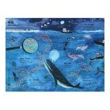 經典科普自然大書:蟲蟲大書+野獸大書+海洋大書