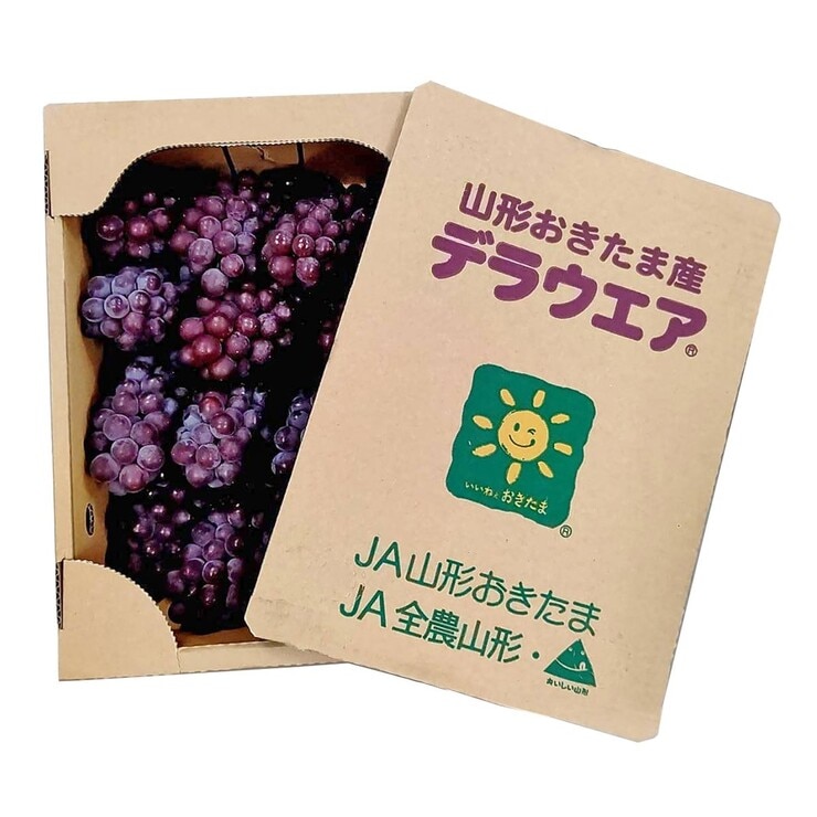 空運日本山形縣小無子葡萄禮盒 2公斤 空運日本山形縣小無子葡萄禮盒 2公斤