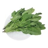 有機菠菜 500公克