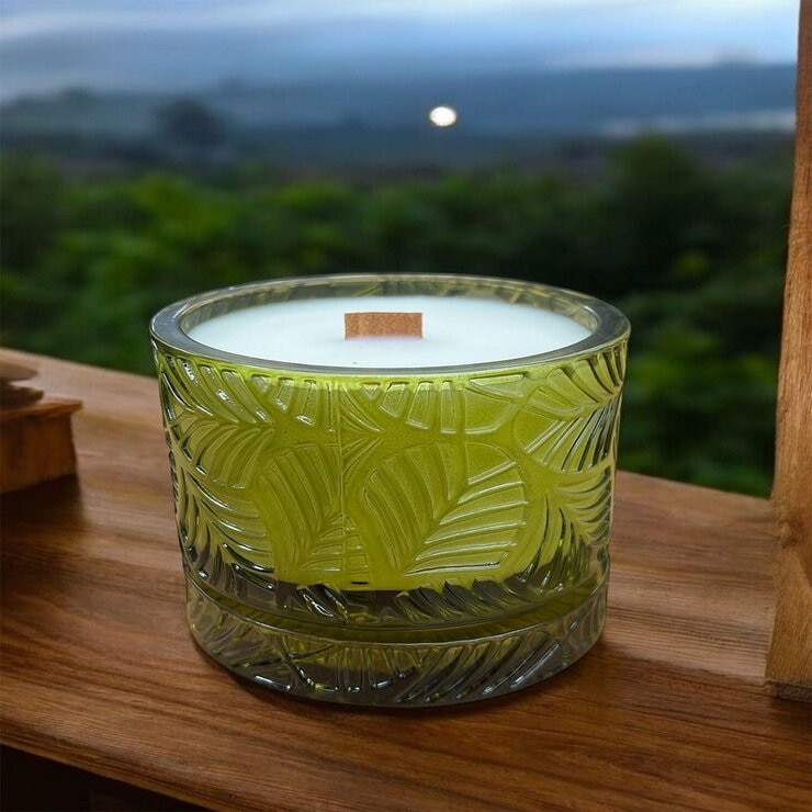 Olive Oil 香氛蠟燭禮盒 210公克 X 3件組