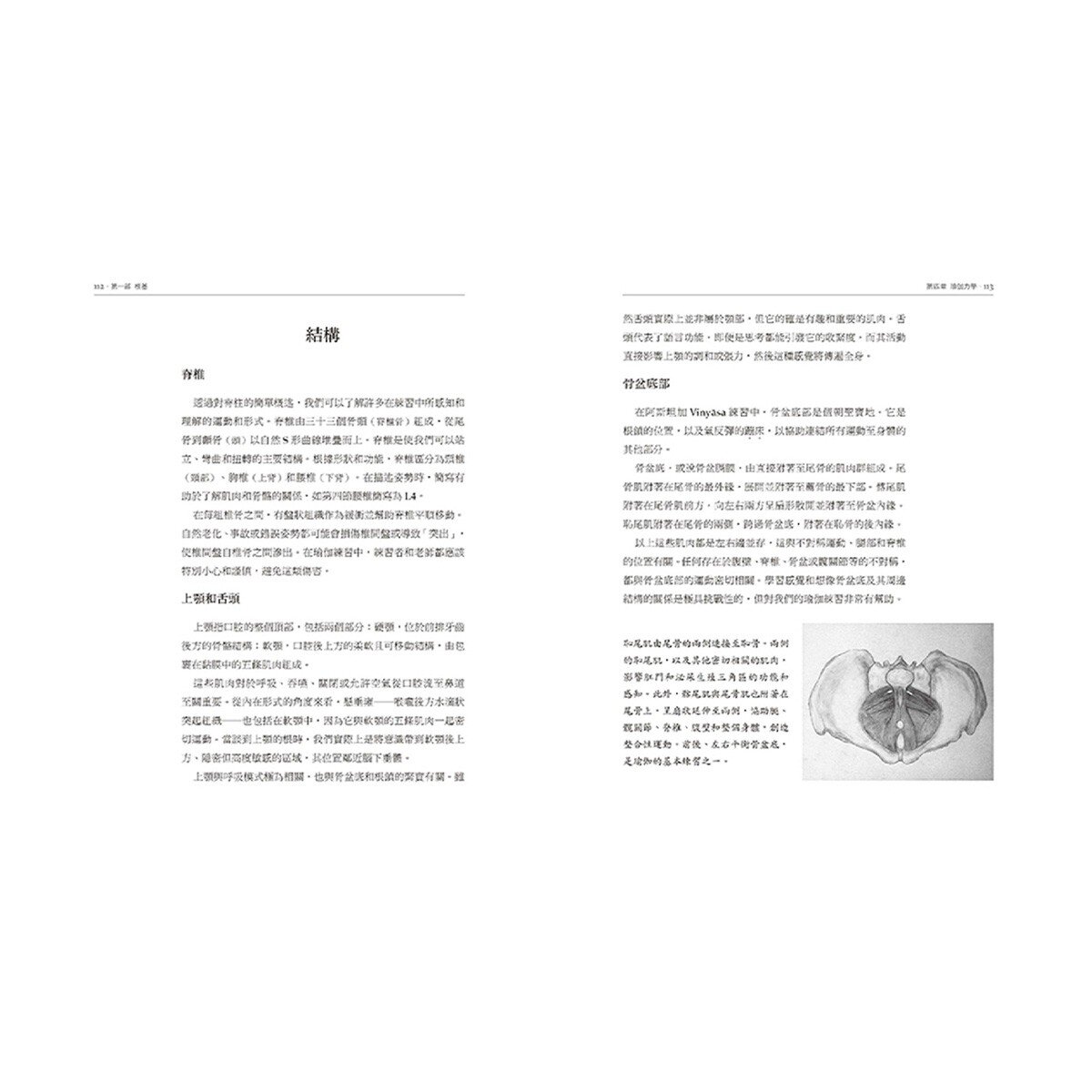 瑜伽與動禪: Vinyasa的流動藝術