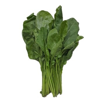 有機山菠菜 500 公克