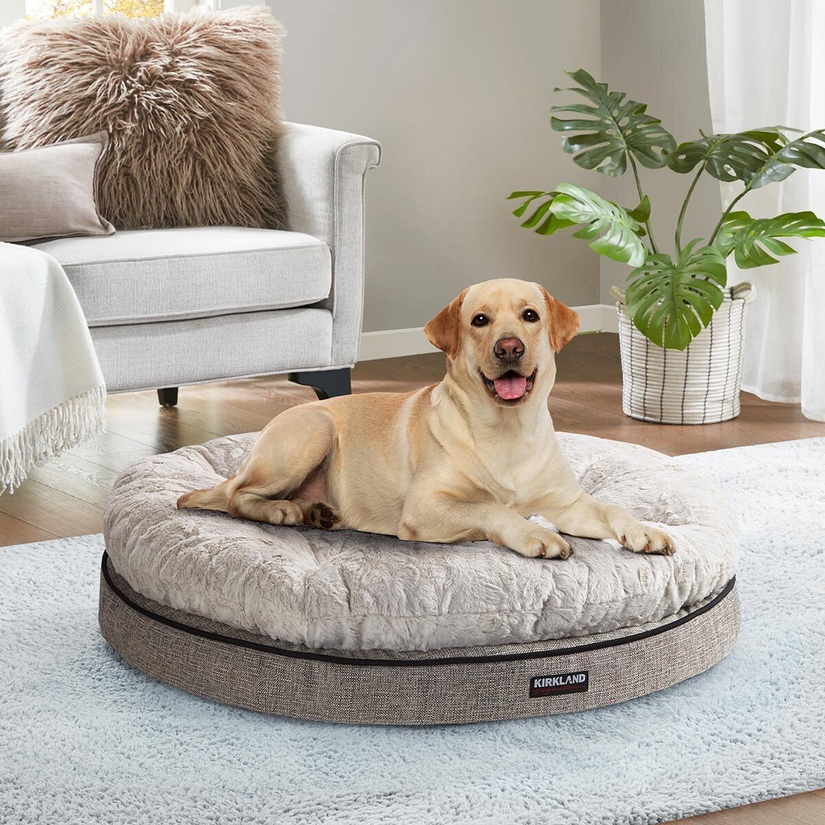 costco dog bed round