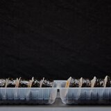 Hau 冷凍韓式鮪魚飯捲 230公克 X 6入
