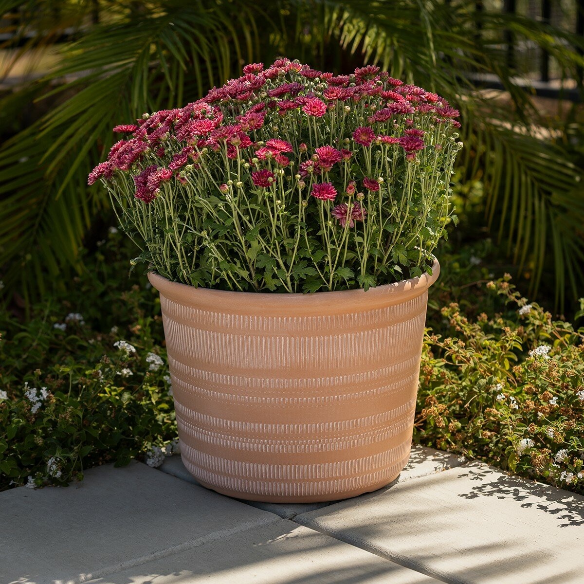 塑膠花盆 3件組 橘色