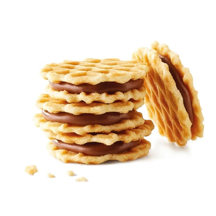 Jules Destrooper 比利時奶油夾心餅乾組 620公克