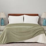 Berkshire 雙人舒適毯 233公分 X 248公分 綠