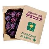 空運日本山形縣小無子葡萄禮盒 2公斤
