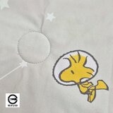 經典卡通涼感被附收納袋 150公分 X 180公分 史努比 星際領航員