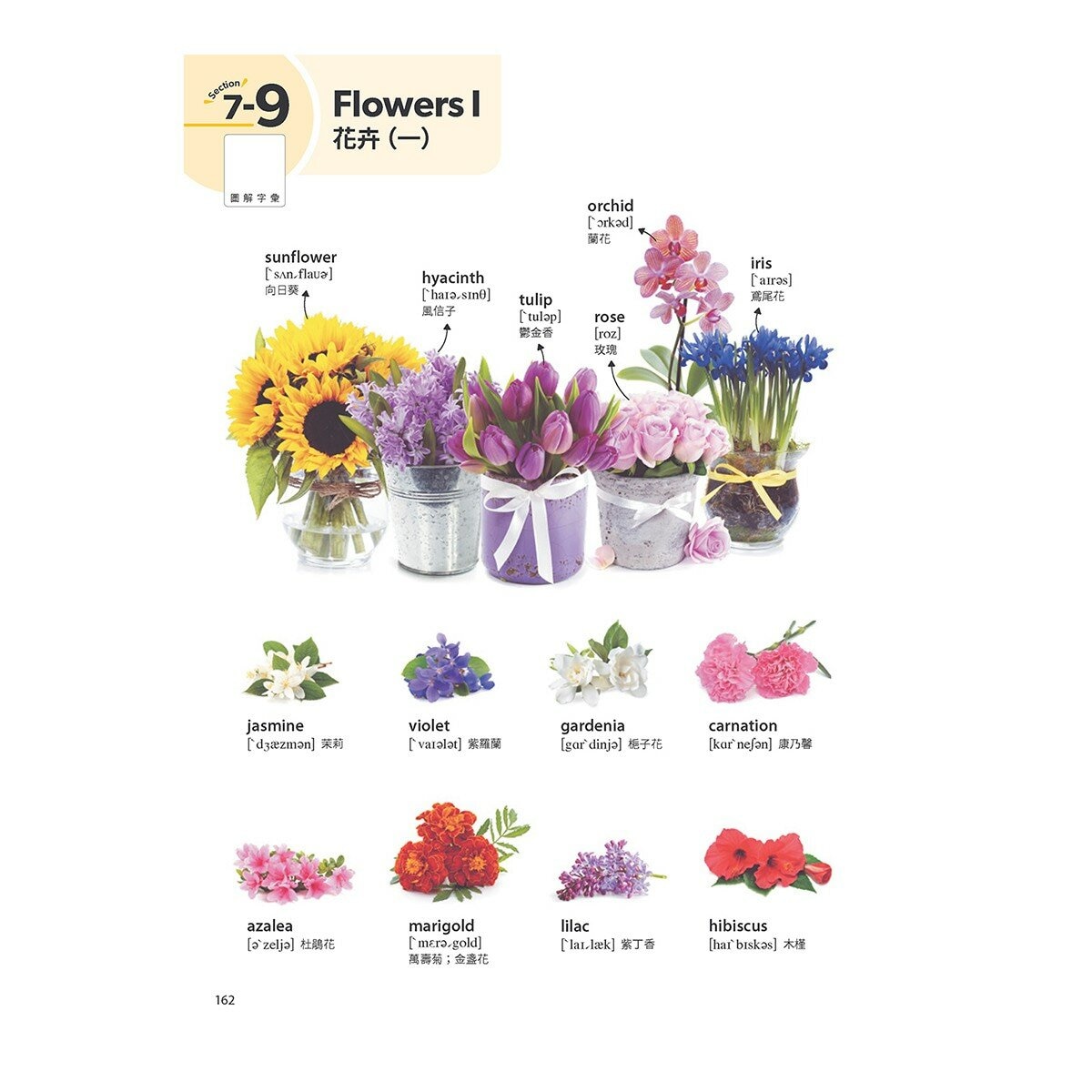 All-in-One 全方位情境式英語圖解字典 + LiveABC智慧藍牙點讀筆 16G All-in-One 全方位情境式英語圖解字典 + LiveABC智慧藍牙點讀筆 16G