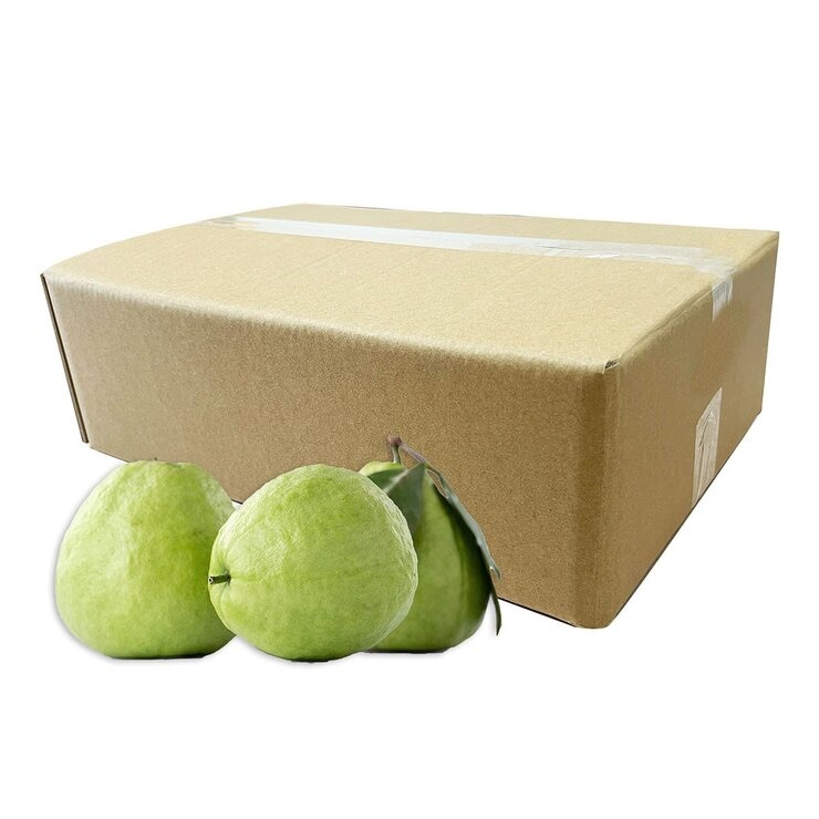 玉美 產銷履歷 帝王芭樂 6公斤