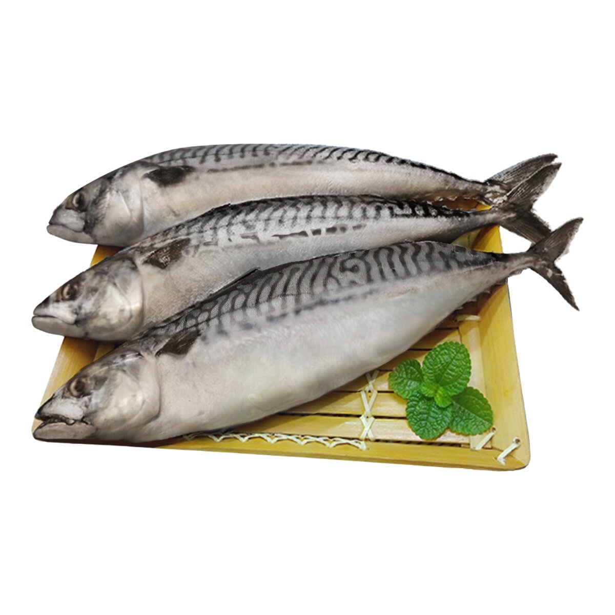 冷凍薄鹽白腹鯖魚 4公斤 冷凍薄鹽白腹鯖魚 4公斤