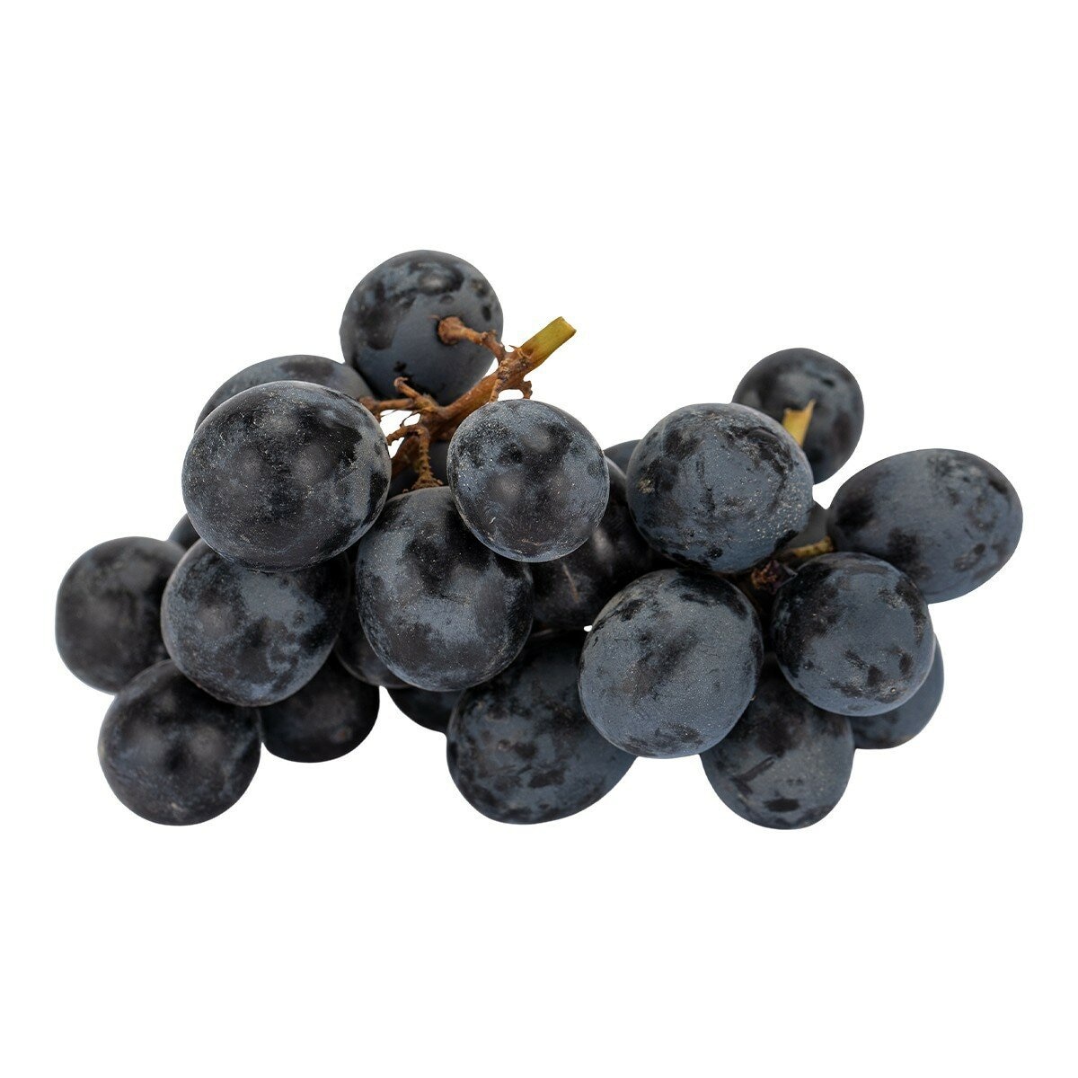 南非無籽黑葡萄 1.3公斤
