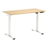 Flexispot 電動升降桌