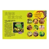 國家地理終極昆蟲百科：史上最完整的昆蟲大全 新版