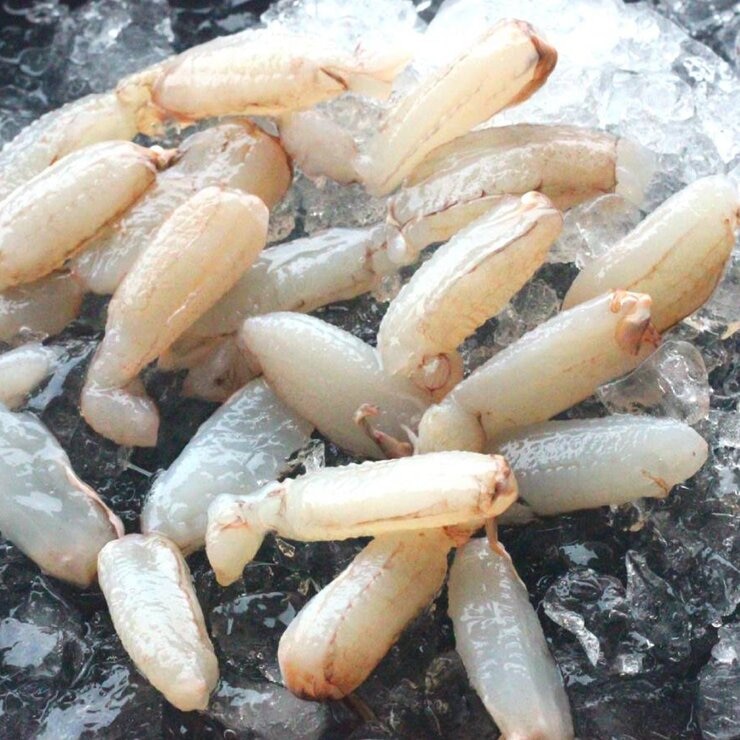 冷凍蟹管肉 500公克 X 4入