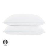 Downlite 涼感舒眠枕 2入 51公分 X 71公分