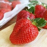 空運日本草莓 520公克