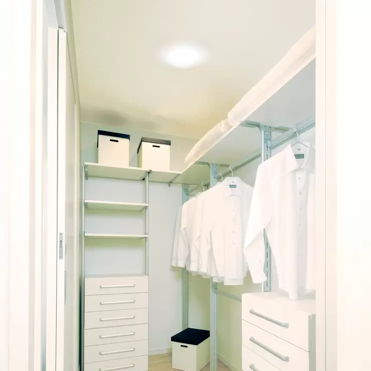 IRIS OHYAMA LED 小型吸頂燈白光 2入