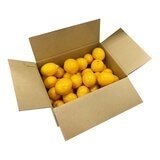 美國香吉士黃檸檬 2.2公斤