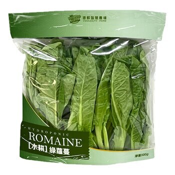 水耕綠蘿蔓 500公克