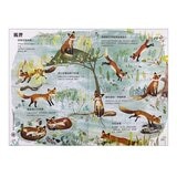 經典科普自然大書:蟲蟲大書+野獸大書+海洋大書