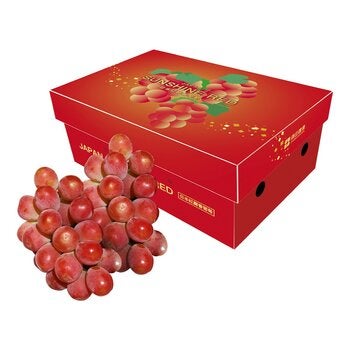 日本陽光紅麝香葡萄 1.2公斤