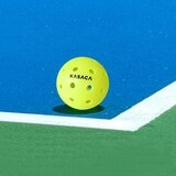 KASACA 專業級比賽用滾塑匹克球 18顆組