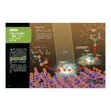 少年Galileo 觀念化學 套書:３小時讀化學、週期表、元素與離子、基本粒[共4冊]