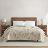 Casual Living 雙人舒適毯 233公分 X 248公分 淡蜜金