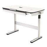 FlexiSpot 電動升降桌 CD704 FlexiSpot 電動升降桌 CD704