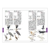 手繪臺灣野鳥新圖鑑（共２冊）：水鳥＋陸鳥