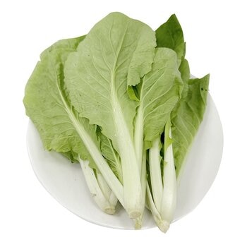 有機小白菜 500公克