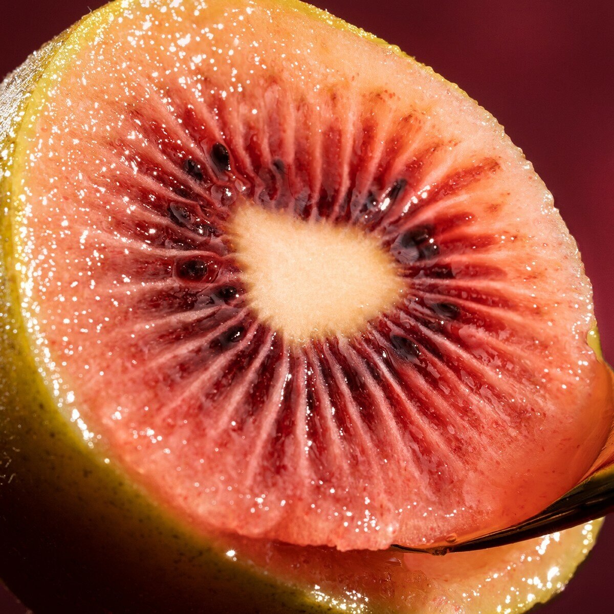 紐西蘭寶石紅奇異果 48顆 / 5.5公斤