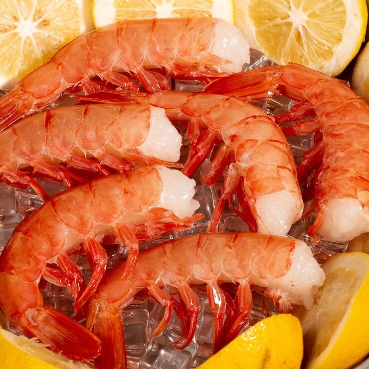 冷凍去頭阿根廷紅蝦 908公克