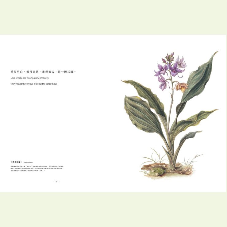 黃湘玲系列套書 植物情人＋蘭花絮語