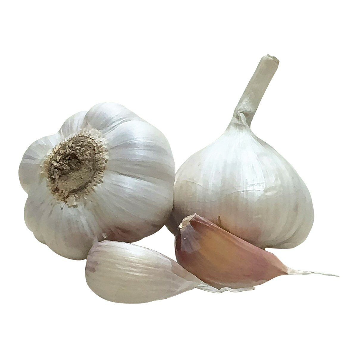 阿根廷蒜頭 900 公克