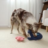 Gigwi 海洋風寵物狗玩具 4入組